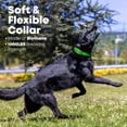 thumbnail image 6 of Regal Dog Products Waterproof Biothane Dog Collar and Leash Set with Double Buckle, 5 ft Leash, Small, Light Green, 6 of 10
