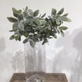 thumbnail image 2 of Flocked Dusty Basil, 2 of 3