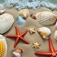 thumbnail image 6 of HAOXIT Beach Round Fitted Tablecloth, Sea Shells on Sandy Coast Tropical Island Shore Summertime Travel, Elastic Edge, Can Wipe Indoor/Outdoor Dining Table Cover, Fit for Round Table Beige Cream 38-42, 6 of 8