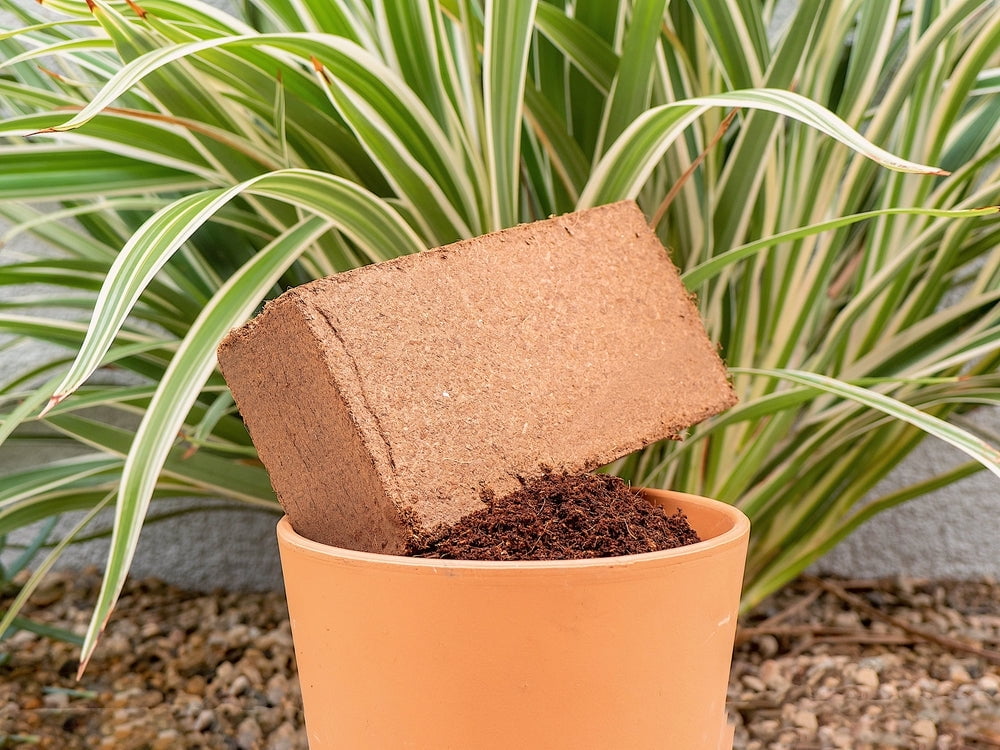 Coco Coir for Plants 2-Pack Envelor 2.4 Gallons Compressed Coconut Coir Bricks 10 lb. Organic Coconut Coir Bulk Low EC pH Balanced Natural Coco Peat for Indoor and Outdoor Gardening Potting Soil