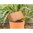 thumbnail image 3 of Coco Coir for Plants 2-Pack Envelor 2.4 Gallons Compressed Coconut Coir Bricks 10 lb. Organic Coconut Coir Bulk Low EC pH Balanced Natural Coco Peat for Indoor and Outdoor Gardening Potting Soil, 3 of 5