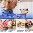 thumbnail image 2 of Juguetes de dentición para cachorros ADDPETS Aros mordedores congelables, paquete de 4, 2 of 7