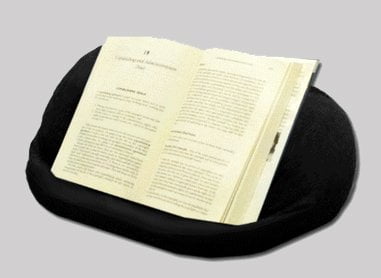 Renegade Lap Pro Beanbag Lap Stand Ipad Android Tablet Accessory