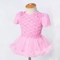 thumbnail image 6 of Fesfesfes Toddler Baby Girls Dress Net Yarn Solid Color Rose Flower Romper Jumpsuit Short Skirt, 6 of 9