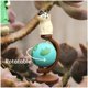 thumbnail image 3 of Raqwi Lindo Mini Gato Sosteniendo La Antorcha Estatuilla Lindo Gato De Pie En El Globo Estatuilla para La Decoración del Hogar De La Oficina Regalo Lindo Lindo del Gato para Los Amantes De Los Gatos, 3 of 5