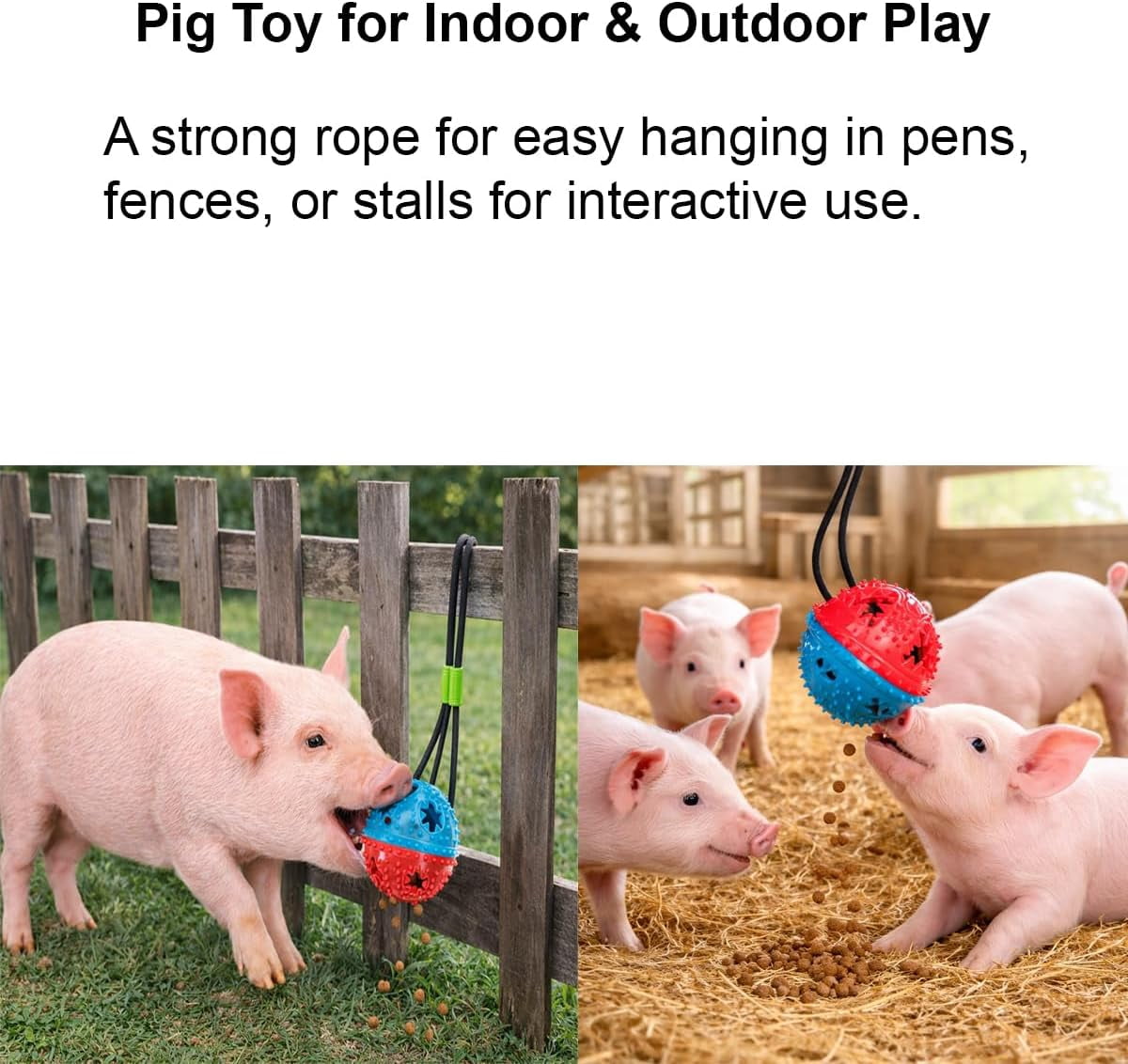 2Pcs Pig Enrichment Toys – Hanging Treat Ball for Pellets & Grains, Chew & Slow Feeder Toy with Rope for Mini Pigs