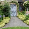 thumbnail image 4 of 1 Gal. Pot, All Gold Japanese Forest Hakonechloa Ornamental Grass Deciduous Perennial Plant - 1 plant per offer, 4 of 5