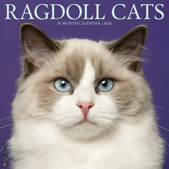 Willow Creek Press, Ragdoll Cats 2026 Wall Calendar, 12'' X 12'', 18-Month Calendar with Stapled Binding