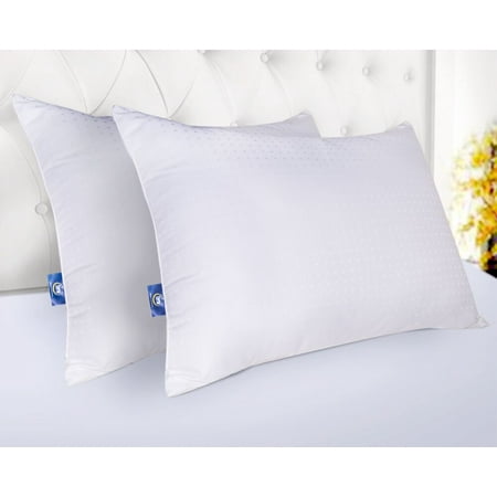 Sertapedic Won T Go Flat Pillows Set Of 2 King Size Best Buy Pillows