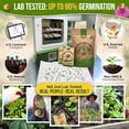 thumbnail image 2 of Organo Republic - 20 Culinary Herb & Edible Flower Seeds Varieties - 9955+ Non GMO Heirloom Seeds, 2 of 6