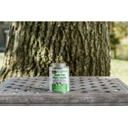 Tanglefoot Tangle-Trap Sticky Coating (Brushable), 8 oz.