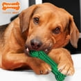 thumbnail image 5 of Nylabone Daily Dental Dog Power Chew Toy - Up to 35 lbs., 5 of 11