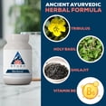 thumbnail image 4 of Ayush Herbs Rentone Kidney Support Supplement with Magnesium and Cranberry, 90 Capsules, 4 of 7