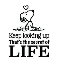 All Charlie Brown Black Walmart Com