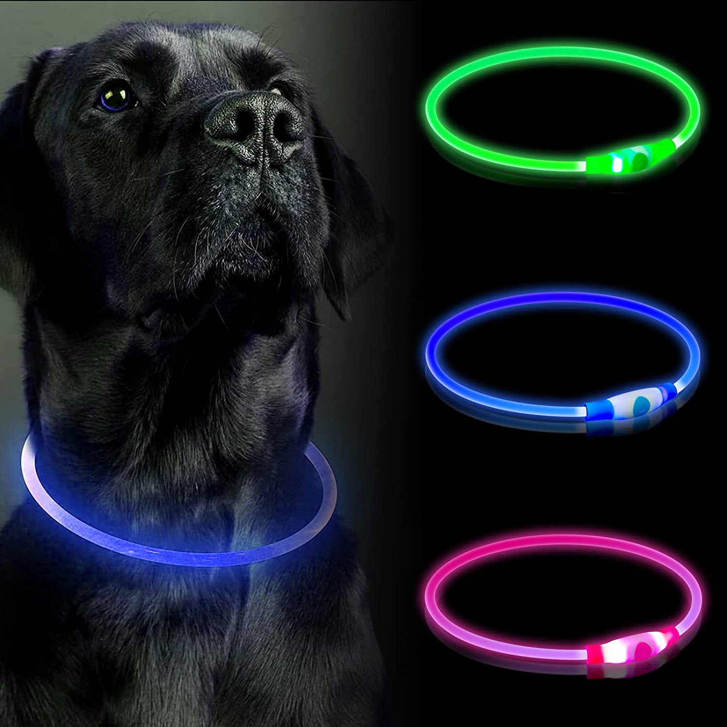Hhhc Led Dog Collar
