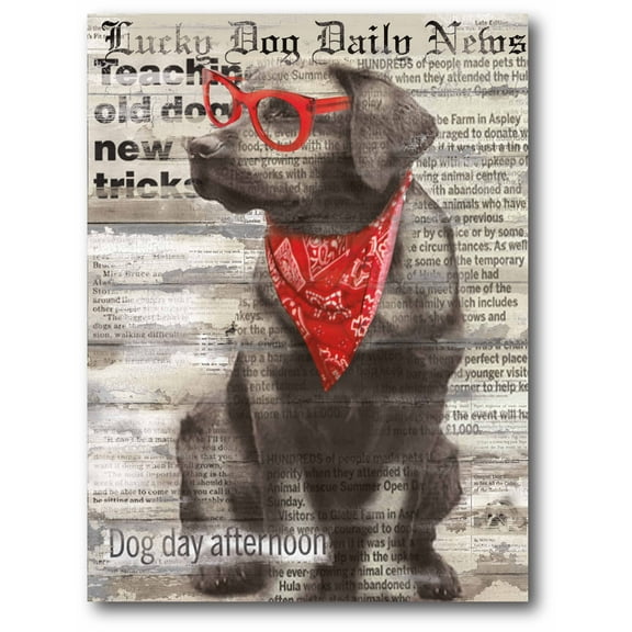 Cool Pup III Gallery-Wrapped Canvas Wall Art, 16x20