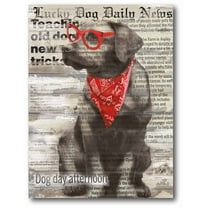Cool Pup III Gallery-Wrapped Canvas Wall Art, 16x20