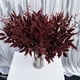 thumbnail image 1 of unbranded 2Ud Hojas Artificiales De Sauce Rojas Para En Casa Oficina O Eventos, 1 of 4