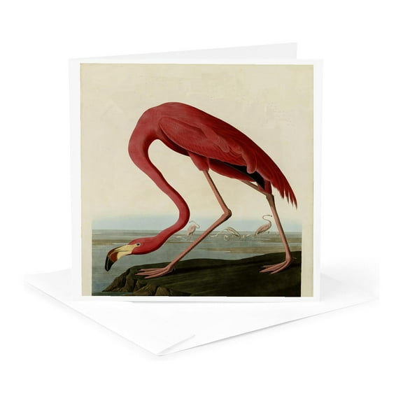 3dRose, Vintage Pink Flamingo, 1 Greeting Card with envelope