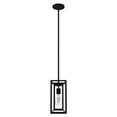thumbnail image 2 of Hunter - Doherty 1-light Natural Black Iron, Mini Pendant Light, Dimmable, Casual Style, Rectangle Shaped, for Bedrooms, Dining, Living Rooms - 19755, 2 of 7
