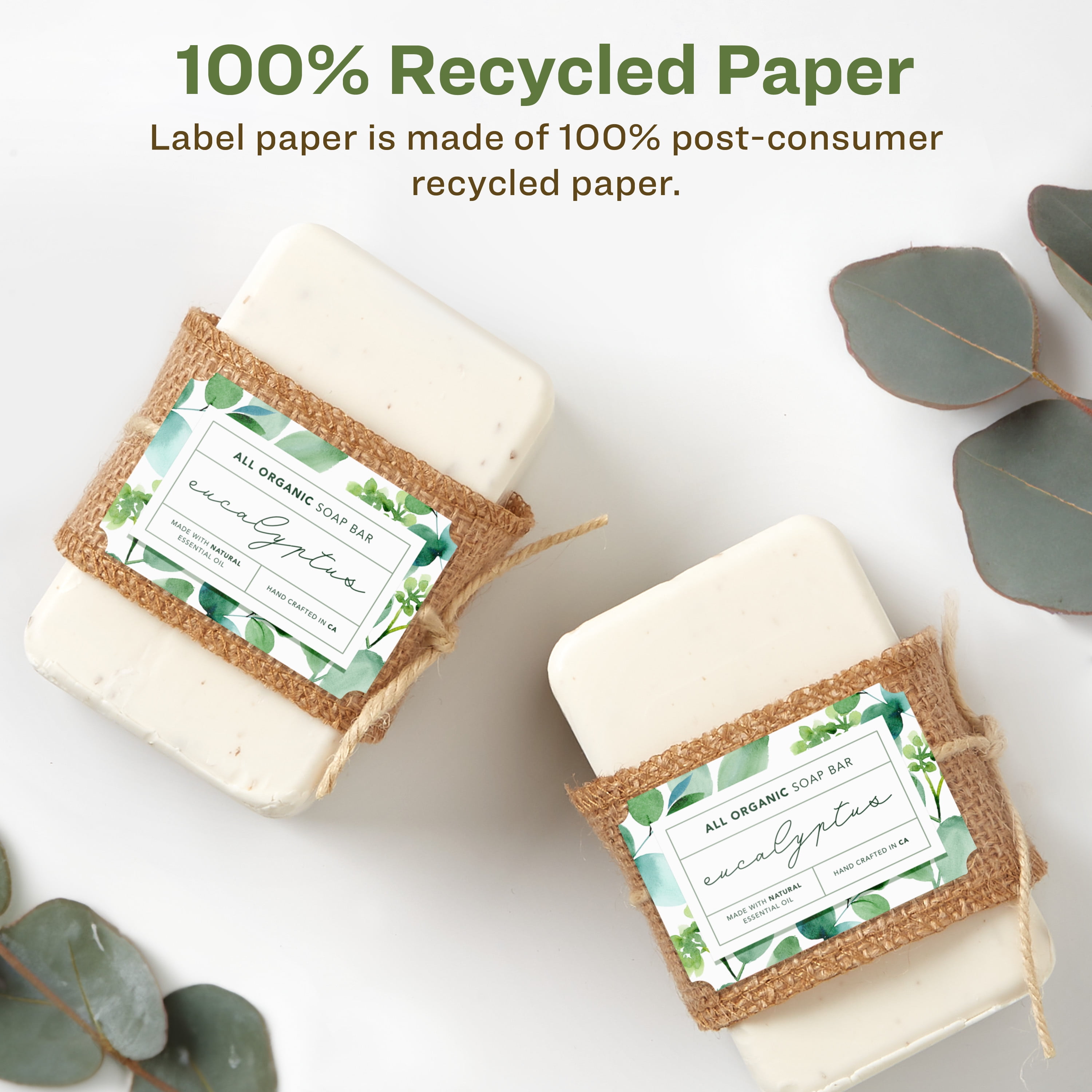 Avery EcoFriendly Rectangle Scalloped Labels, 2" x 3", 800ct