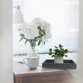 thumbnail image 4 of 2Pcs Flowerpot Trays Rectangular Water Plate Flowerpot Holders Bonsai Bases, 4 of 4
