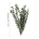 thumbnail image 2 of Bundle Ramo De Hojas Verdes Ramo De Flores Secas Flores Reales Secas Al Aire Natural Ramas De Flores Secas Decoración De Flores De Boda Para Fiestas Inevent HA039741-01, 2 of 6