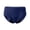 Z65-Blue, variant on Women's Leak Proof Period Briefs High Waisted Underwear Stretchy Lightweight Washable Reusable Full Coverage Panties for Ladies