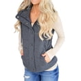 thumbnail image 2 of LANGWYQU Sleeveless Autumn Winter Women Lapel Zipper Jacket Vest Coat, 2 of 4