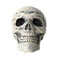 thumbnail image 1 of White Estaca de mano con calavera para Halloween, estaca de patio, cabeza de esqueleto realista, decoración de jardín, 1 of 5