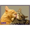 thumbnail image 4 of Feliway Friends 30 Day Starter Kit Calming Diffuser for Cats, 4 of 5