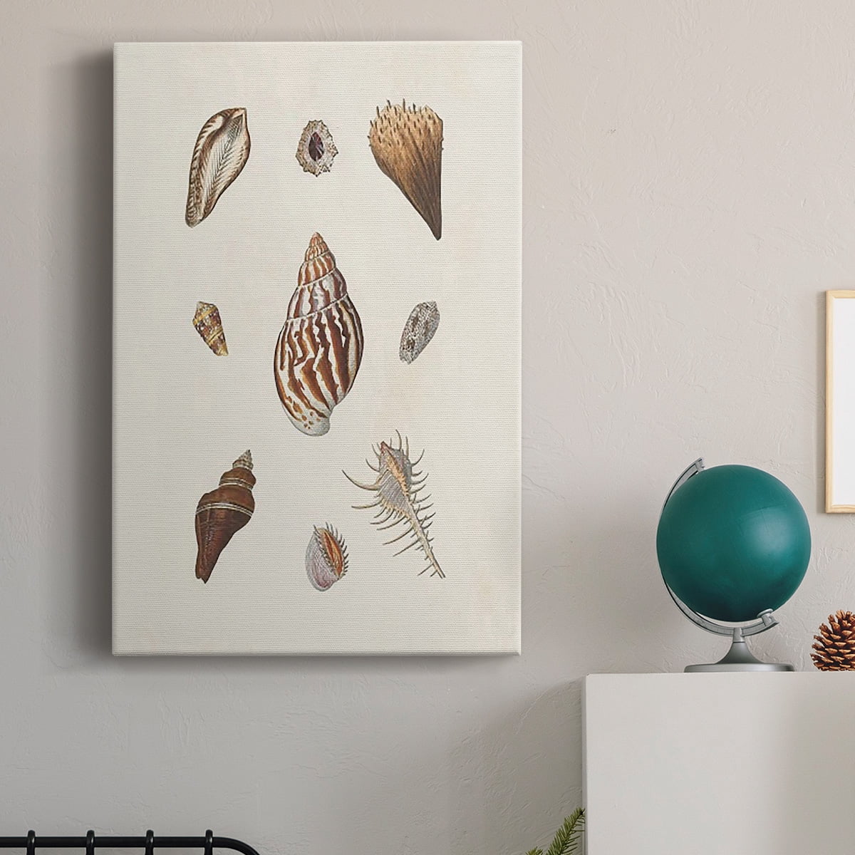 Knorr Shells & Coral IX Premium Gallery Wrapped Canvas - Ready to Hang
