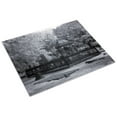 thumbnail image 3 of Print: Old Live Oak Cemetery, Selma, Alabama, 2010, 3 of 4