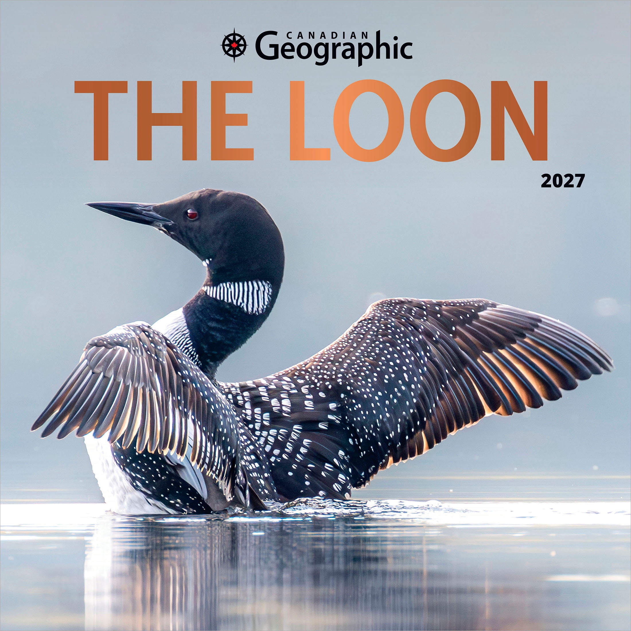 The Loon 2027 Square