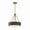 Black, variant on Designers Fountain - Erba - 3 Light Pendant-15.25 Inches Tall and 16 Inches Wide