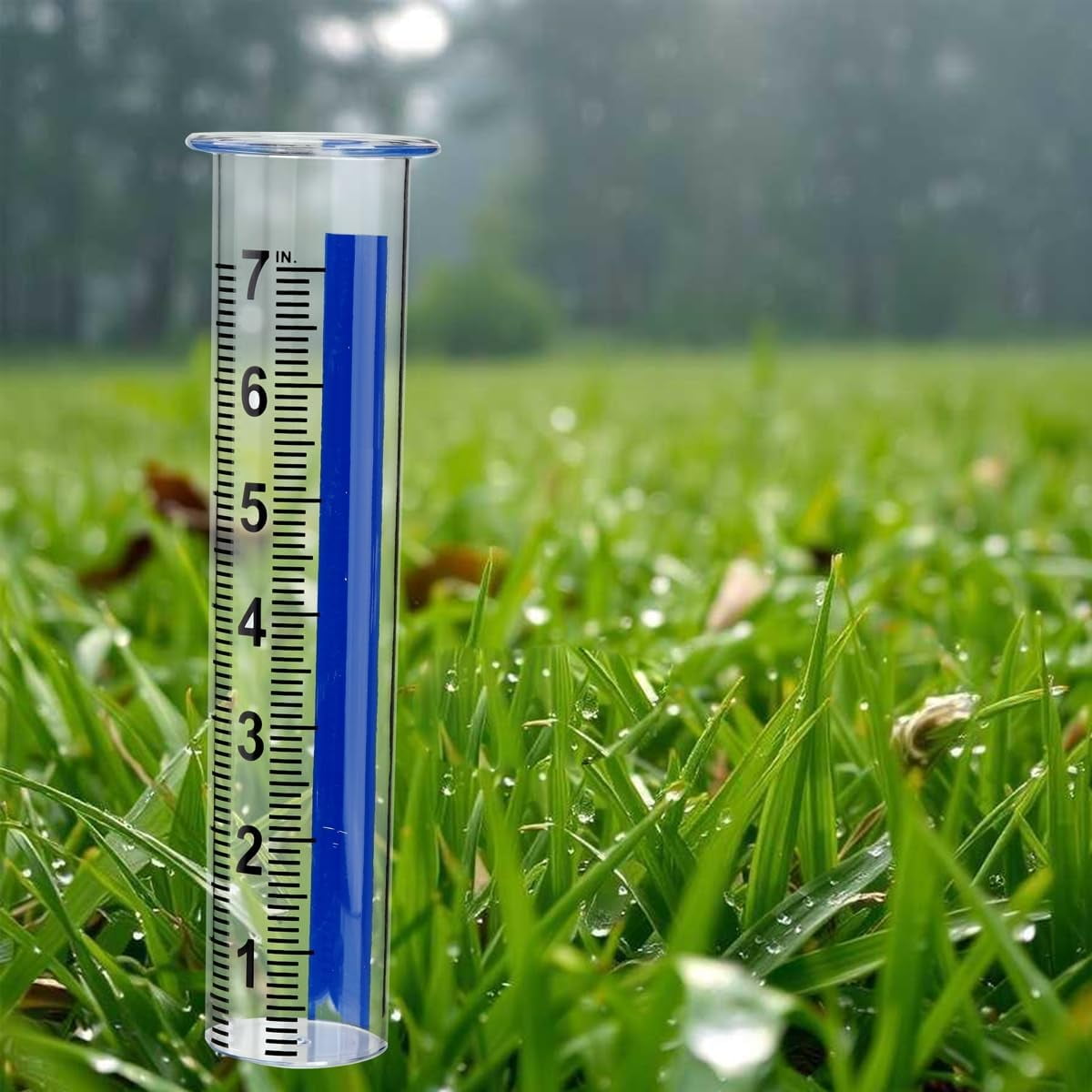 4Pcs Plastic Rain Gauge Replacement Tube, 7inch Transparent Outdoor Rain Meter Tubes for Lawn Garden Yard Home (Blue Strip)