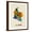 Brown Frame, variant on Art.com Colombia Watercolor Map Art Print by Michael Tompsett, 12" x 16"