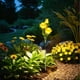 thumbnail image 1 of CaiYueKe Solar Powered Rose Garden Lights Outdoor Waterproof LED Decorative Lawn Stake Lights for Yard Pathway Patio Landscape Decor, 1 of 7
