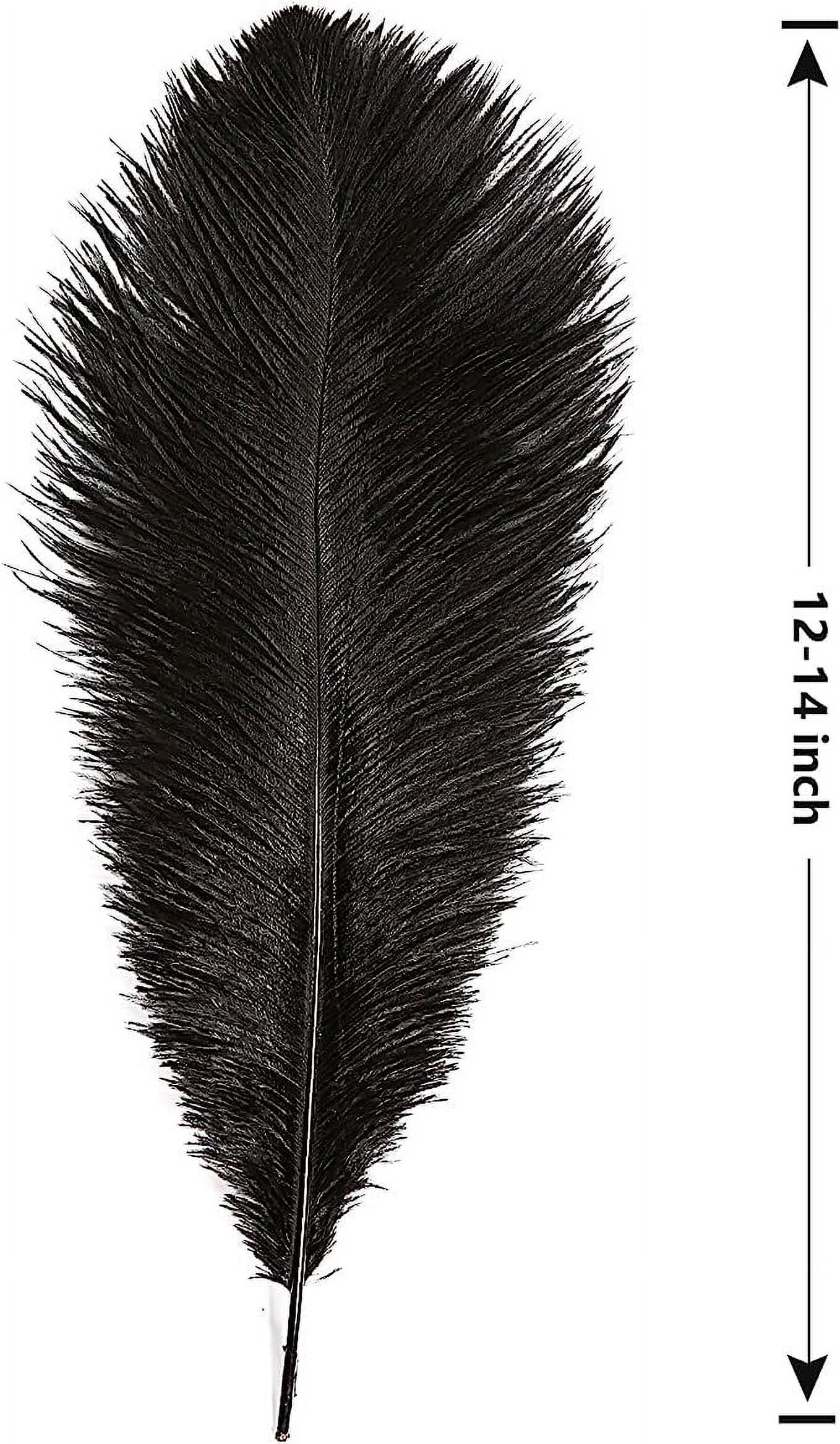 NAMZI Black Bulk Natural Ostrich Feathers 12-14Inch (30cm-35cm), Perfect for Wedding, Party Centerpieces, Easter & Home Decoration