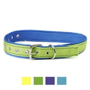 Vibrant Life Reflective Comfort Dog Collar, Green/Blue, Large