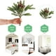 thumbnail image 5 of Ramas de ciprés artificial nevadas con agujas de pino, púas de pino escarchadas falsas, vegetación, piñas de árbol de Navidad, tallos para arreglos navideños de temporada, decoración blanca de, 5 of 6