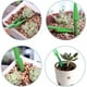 thumbnail image 3 of Herramientas de jardinería, sembradora, trasplantadora, perforadora, juego de 6 piezas. Vhermosa XWJ-A0024, 3 of 8