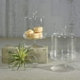 thumbnail image 3 of HomArt 3851-0 Vera Glass Dome and Pedestal, 7.25-inch Height, 3 of 4