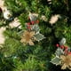thumbnail image 5 of Navidad Pinos Redos Frutas Flores Árboles Pendientes Props Decoración Bocas Artesanía, Pinos Redos Frutas, Pendants Navideños, Accesorios de Fiesta, para Decoración de Hogar, Plegables,, 5 of 9