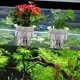 thumbnail image 4 of CRAFTHROU 4Ud Macetero Colgante Para Acuáticas En Acuario Material Y Funcional, 4 of 8