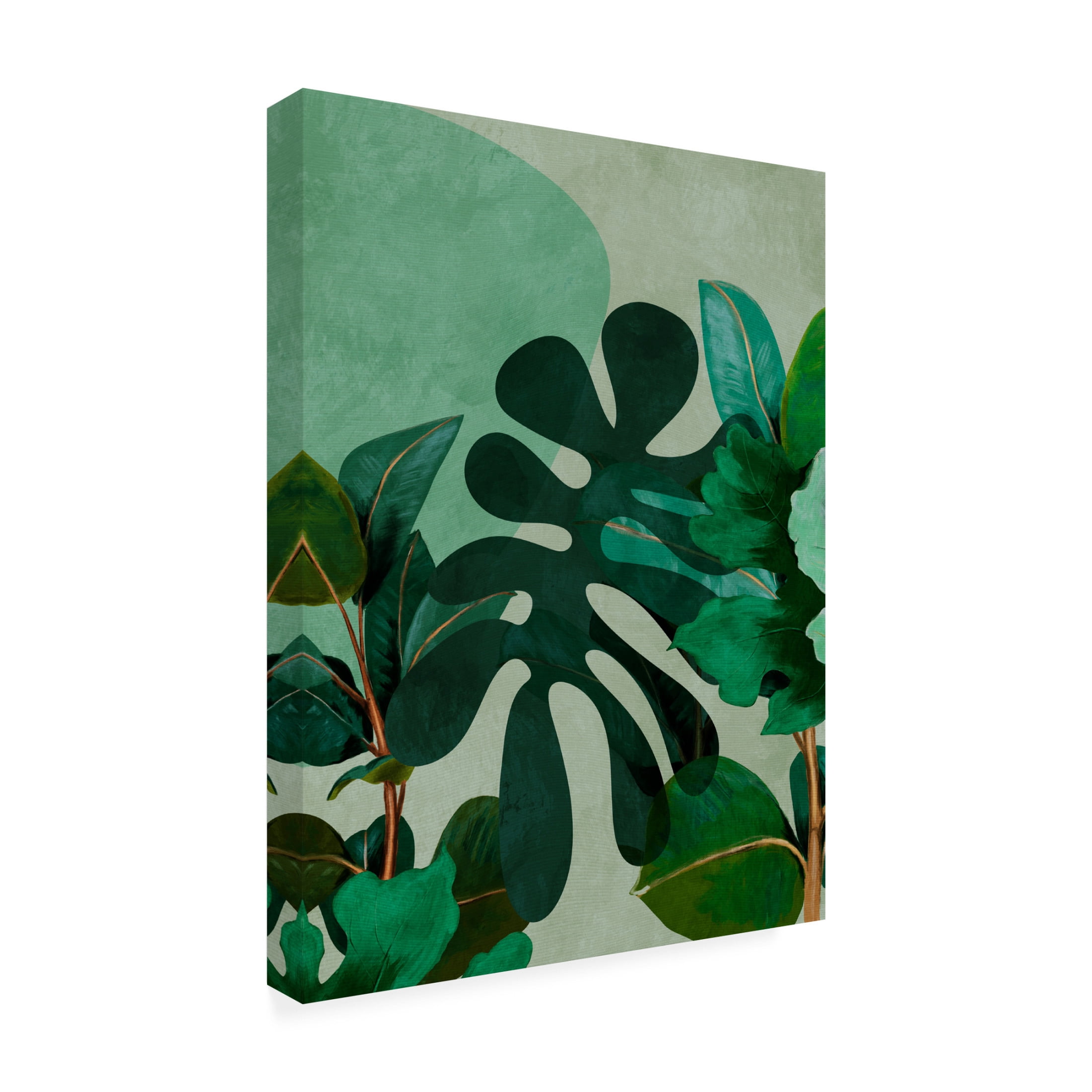 Trademark Fine Art Ana Rut Bre Leaves More 8 Canvas Wall Art