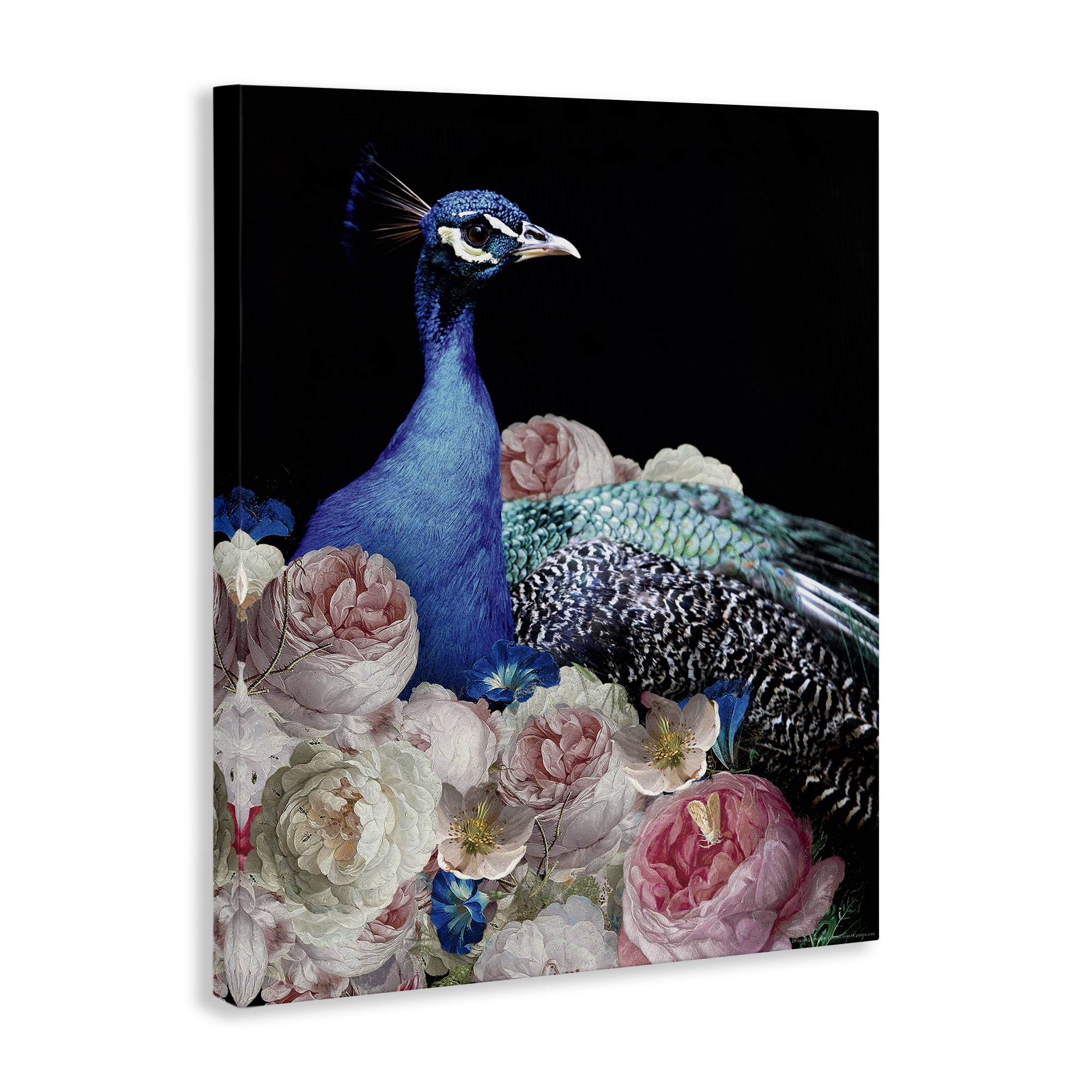 Stupell Industries Peacock & Peonies Animals Painting Wrapped Canvas Art Print Wall Art, 30 x 40