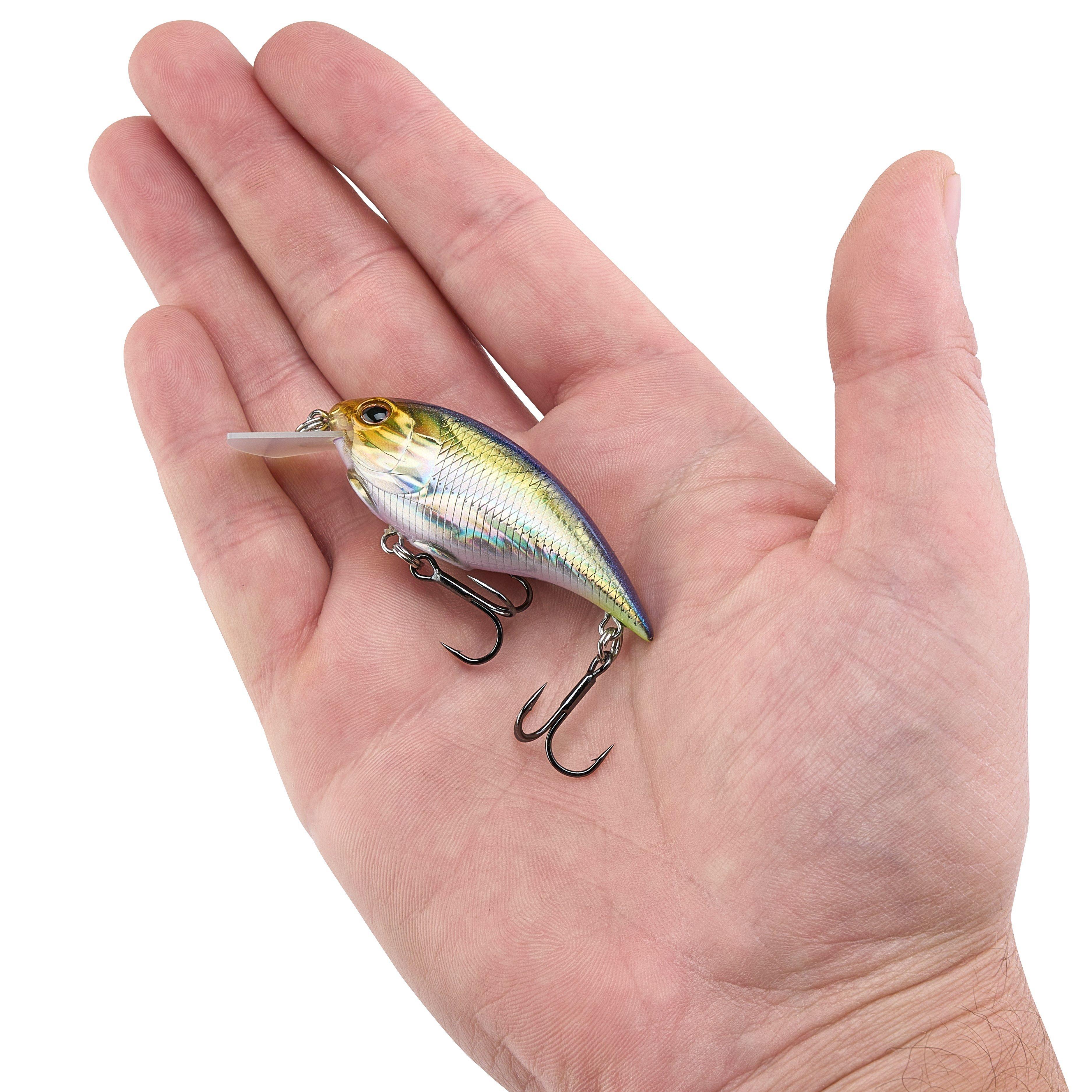 Berkley Shallow Money Badger Fishing Crankbait, 2.5 in, Hybrid Baitfish-Crayfish