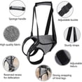 thumbnail image 4 of Dog Lift Harness, Dog Sling for Small Medium Large Dogs, Dog Support Harness for Back Legs, Adjustable Soft Padded Pet Harness, 4 of 5
