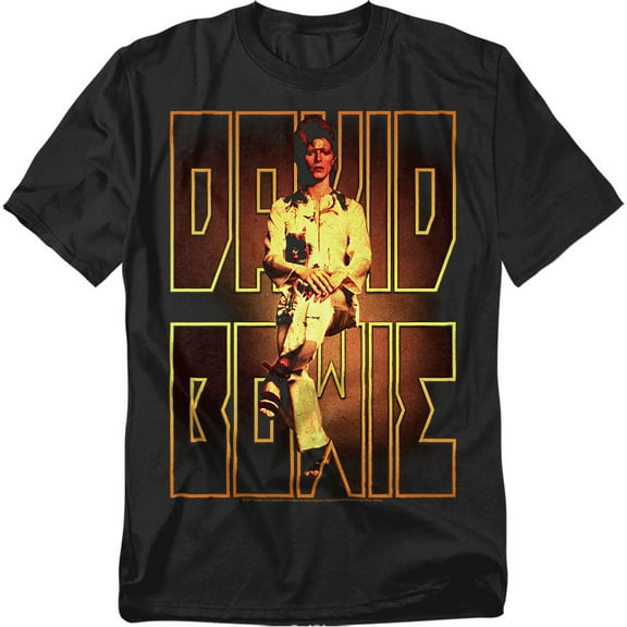David Bowie T-Shirt Perched Unisex Graphic Tee For Men & Women